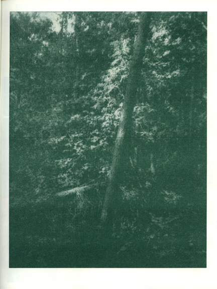 tumblr_l5kslwsiae1qz7599o1_500